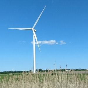 Meet your Posher, Ashlee